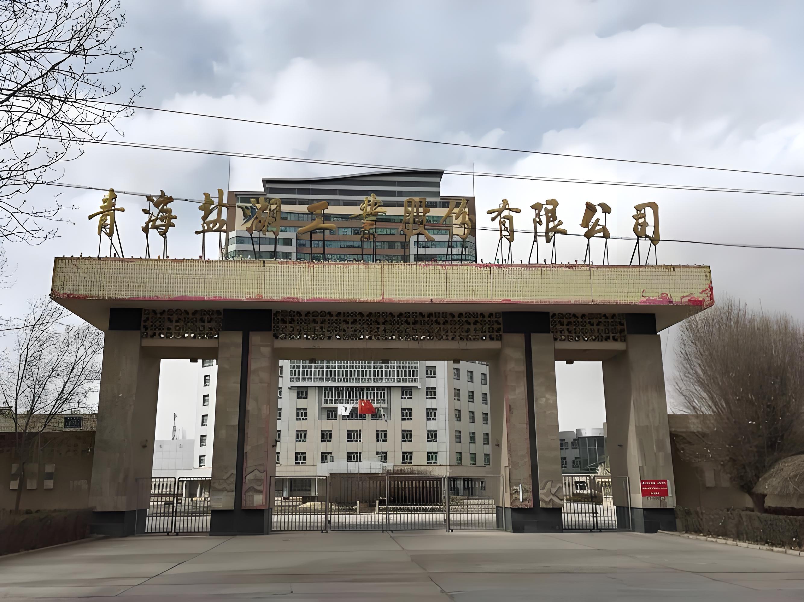 盐湖股份与天赐、欣旺达、万华化学等五企业签署碳酸锂长协