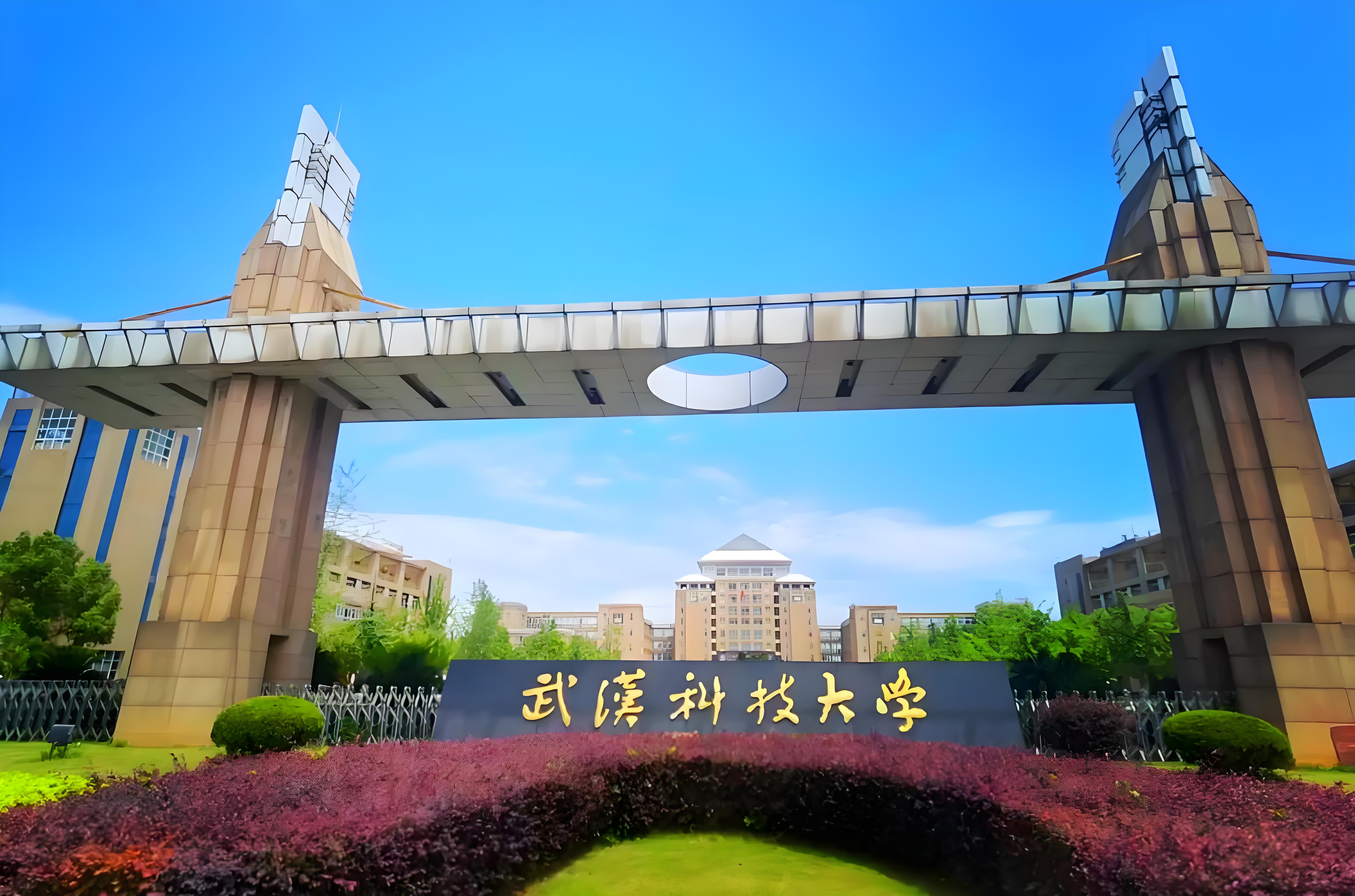武科大联合多校发文Angew,HPPO法环氧丙烷生产获效率与寿命双突破