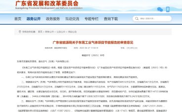 广东省能源局关于东莞工业气体项目节能报告的审查意见