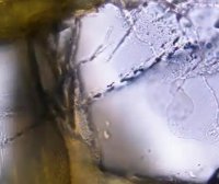 青藏高原藏 “天然氢矿”！中科院首次发现蛇纹石化产氢 绘就清洁能源新藏宝图