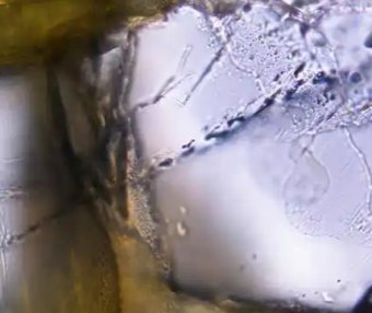 青藏高原藏 “天然氢矿”！中科院首次发现蛇纹石化产氢 绘就清洁能源新藏宝图