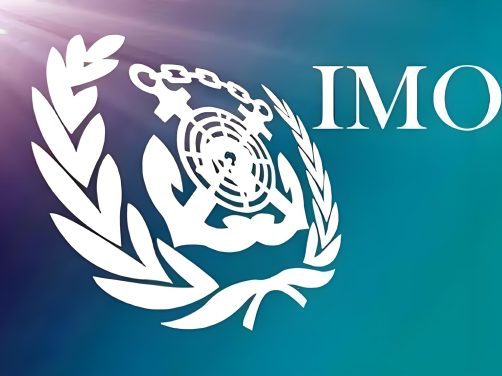 IMO一纸认定，巴西玉米乙醇拿到驶向全球航运市场的“船票”