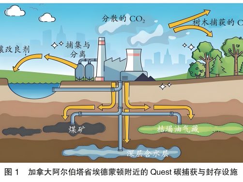 二氧化碳:从温室气体到战略资源的身份重构