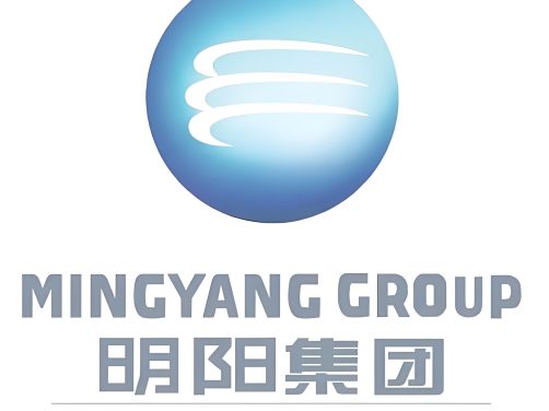 国内首个”电氢醇柔性生产”示范项目进入工程设计阶段