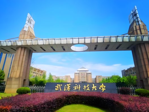 武科大联合多校发文Angew，HPPO法环氧丙烷生产获效率与寿命双突破