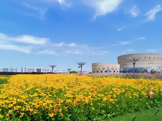 内蒙古6316万元制氢加氢一体化项目备案