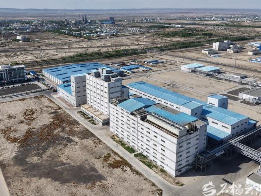 新疆拟建100吨/年硼11电子特气及同位素分离项目，助力高端材料国产化